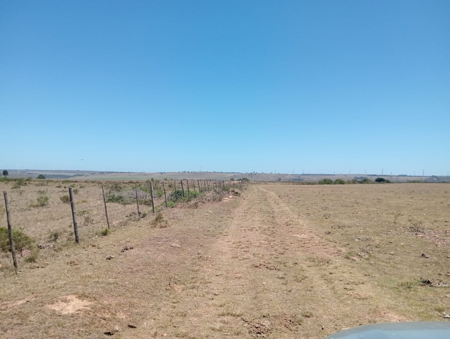 Commercial Property for Sale in Humansdorp Rural Eastern Cape